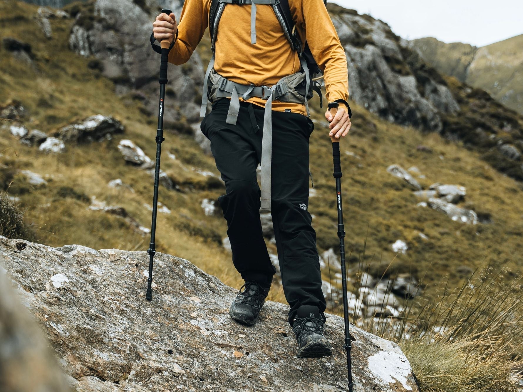 Hiking with trekking pole